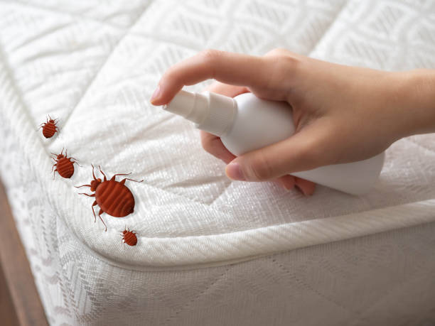 Real Estate Pest Inspections in Sesser, IL